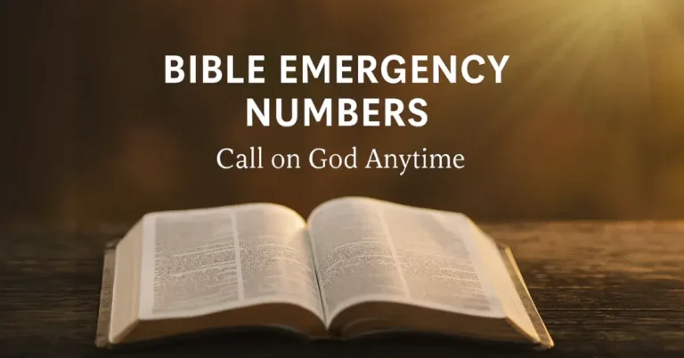 Bible Emergency Numbers: God’s 24/7 Hotline in Times of Need 2 Bible Emergency Numbers