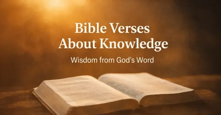 Bible Verses About Knowledge: Gaining Wisdom Through God’s Word 7 Bible Verses About Knowledge